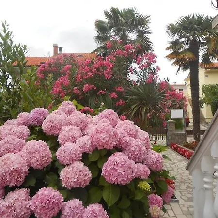 Apartmani Braut-Studio-Andrea 1 With Sea View-Studio 3 View Of The Garden *